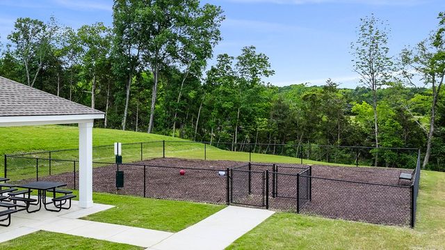 Bowie Meadows image