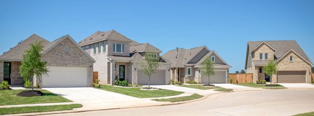 Magnolia Forest: Avante Collection image