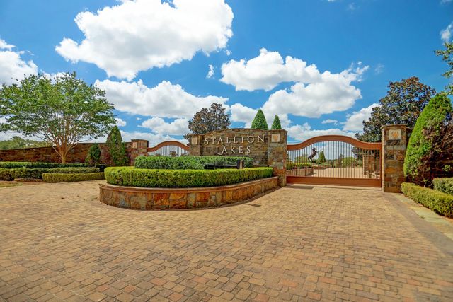 Stallion Lakes image