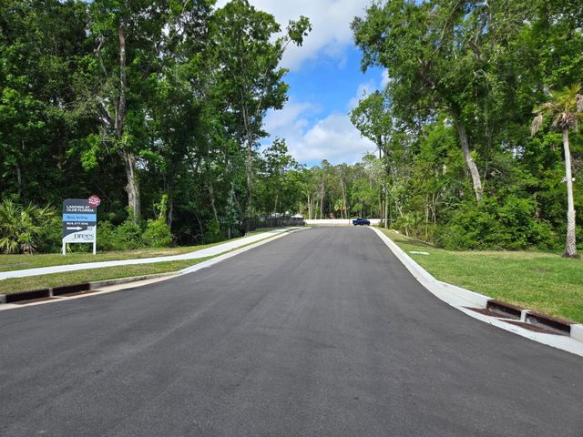 Landing at Olde Florida image