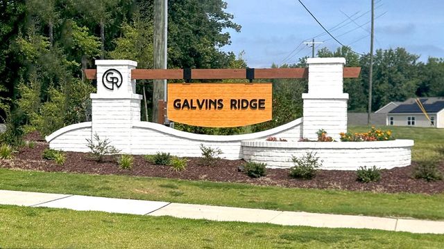 The Townes at Galvins Ridge image