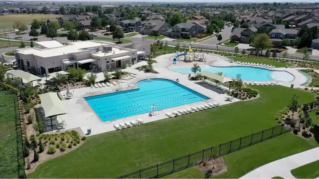 Brighton Crossings: The Pioneer Collection image