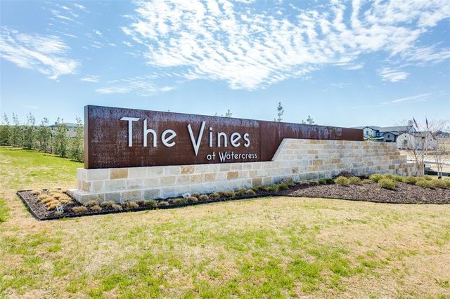 The Vines image