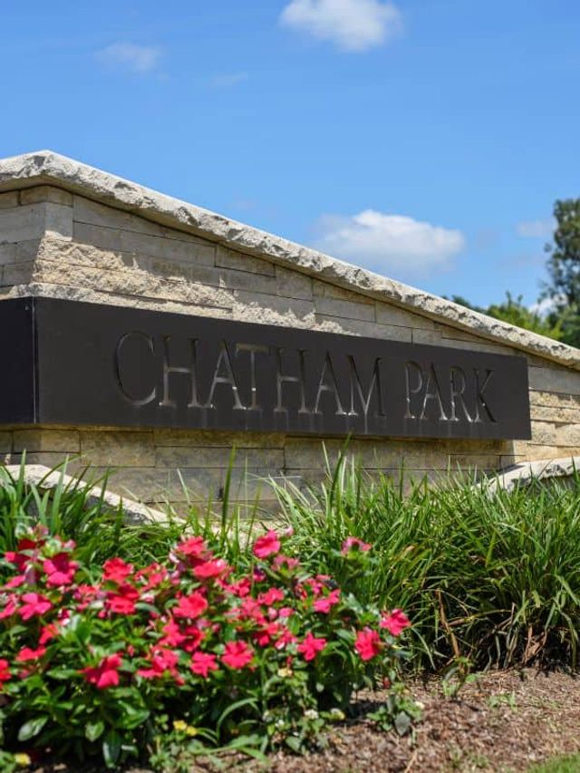 Townes at Chatham Park image