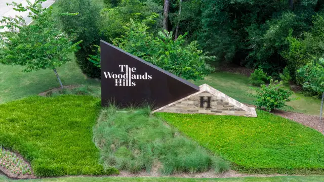 The Woodlands Hills 65′ image
