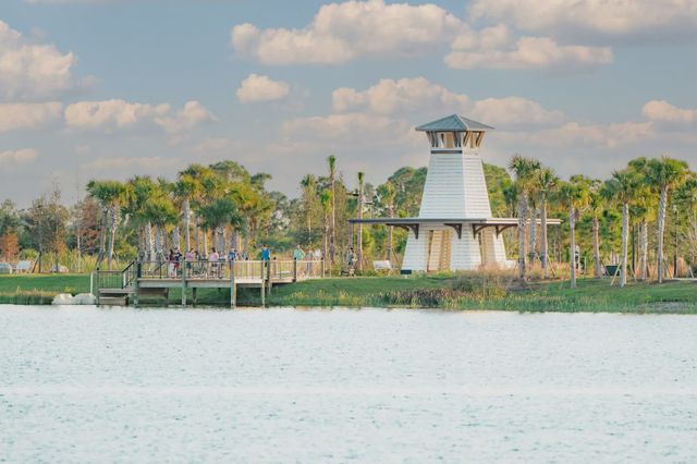 Palmera image