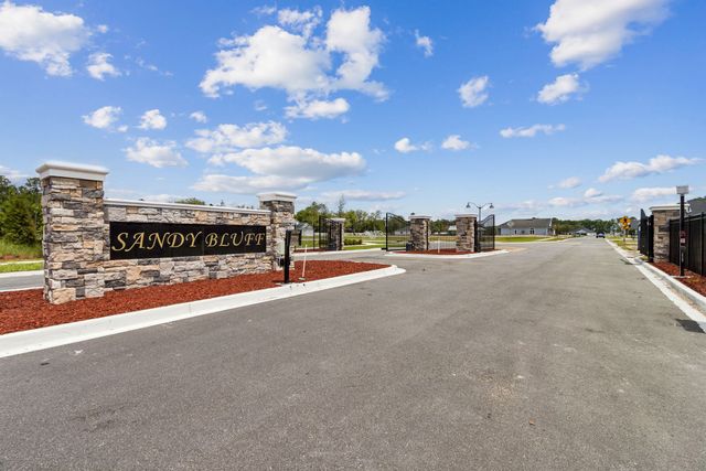 Sandy Bluff image