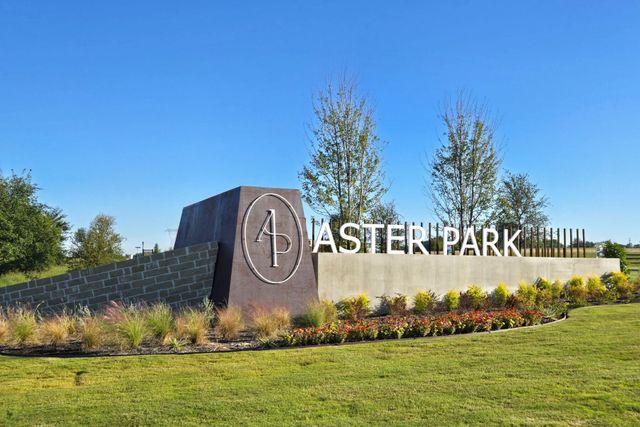 Aster Park image