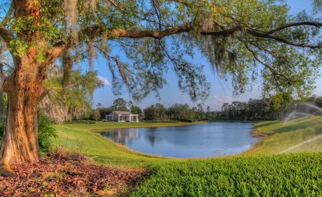 Live Oak Estates image