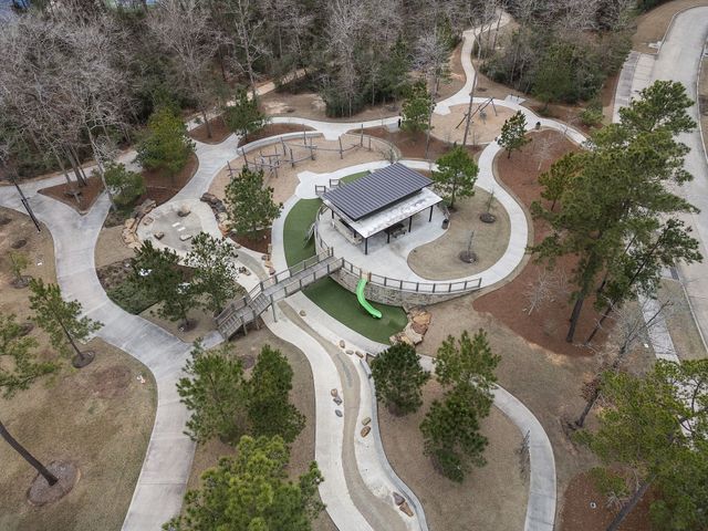 The Woodlands Hills image