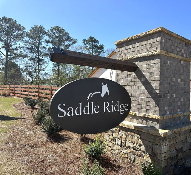 Saddle Ridge image