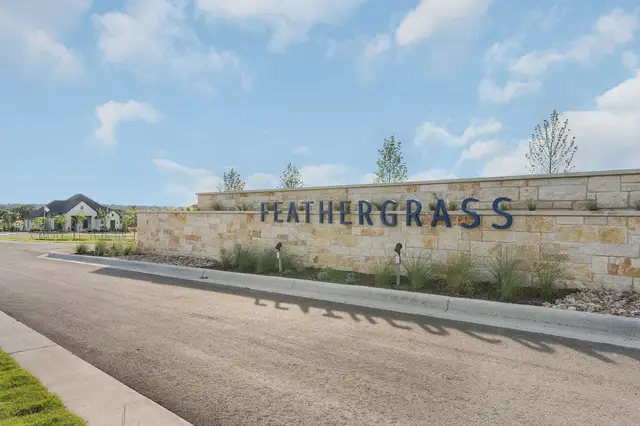 Feathergrass image
