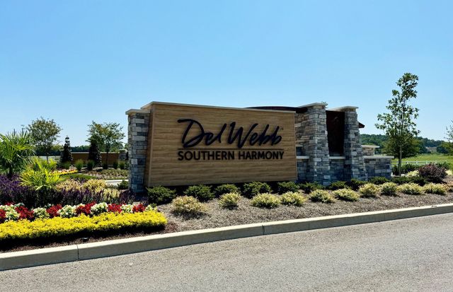 Del Webb Southern Harmony image