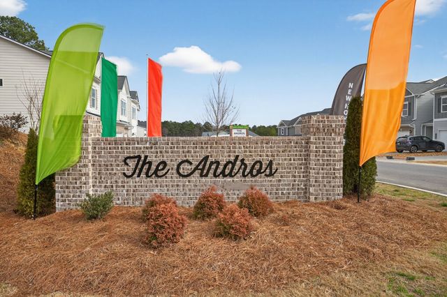 The Andros image