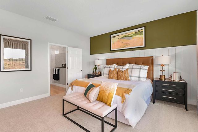 Chapel Crossings by David Weekley Homes in Wesley Chapel - photo