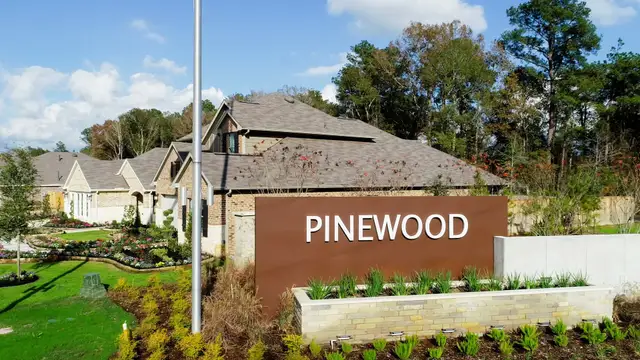 Pinewood at Grand Texas image