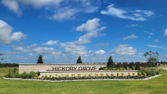 Hickory Grove image