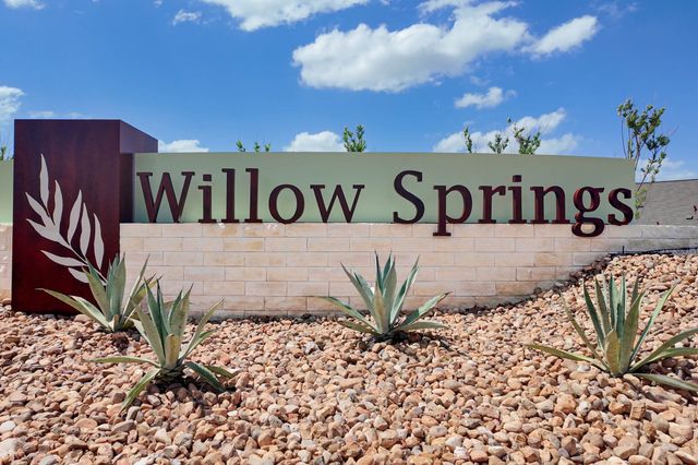 Willow Springs image