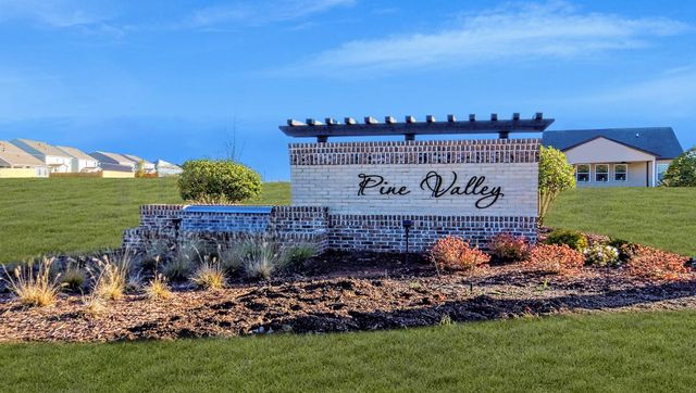 The Villas at Pine Valley image