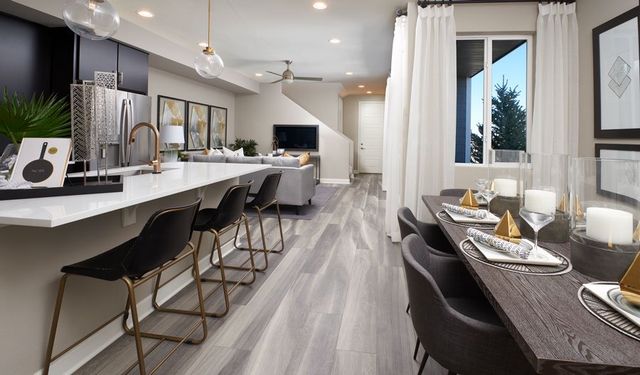 Urban Collection at Looking Glass by Richmond American Homes in Parker - photo