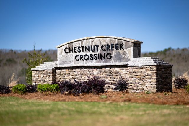 Chestnut Creek Crossing image