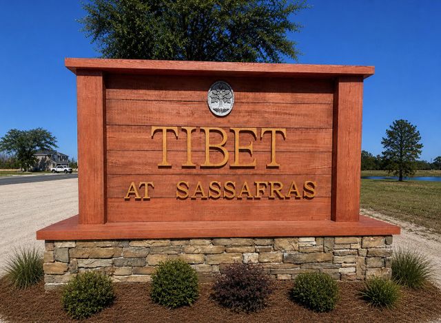 Tibet Road at Sassafras image