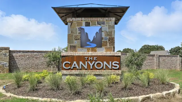 The Canyons image