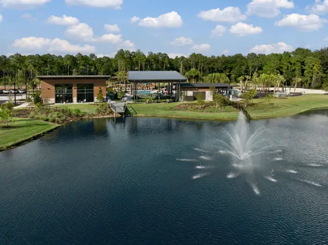 RiverTown - Forest image