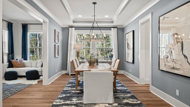 Pamlico Terrace image