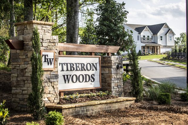 Tiberon Woods image
