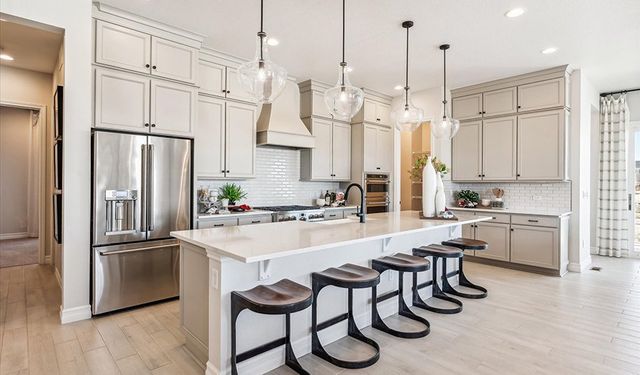 Kitchel Lake by Richmond American Homes in Timnath - photo