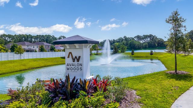 Avalon Woods image