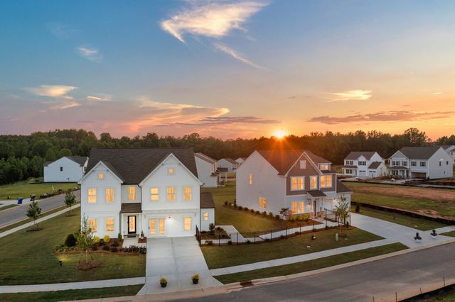 Sutter's Mill II image