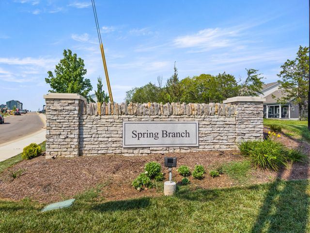 Spring Branch image