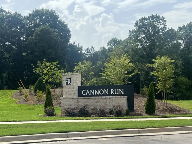 Cannon Run image