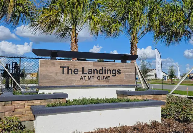 Landings at Mount Olive image