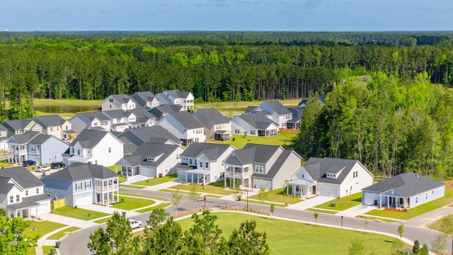 Brunswick Pines image