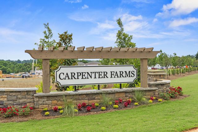 The Meadows at Carpenter Farms by Century Communities in Lincolnton - photo