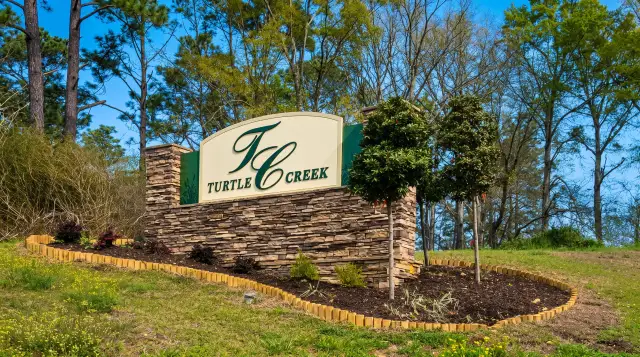 Turtle Creek image