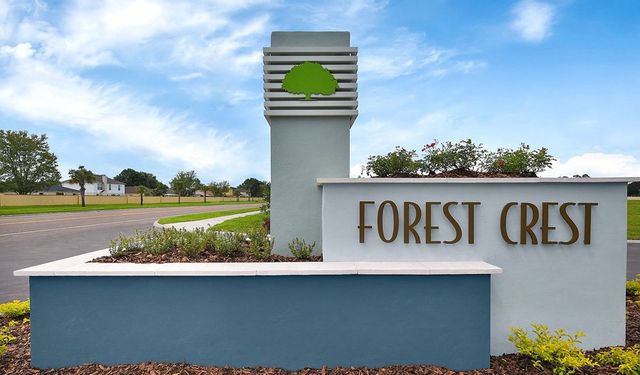 Forest Crest by Richmond American Homes in Jacksonville - photo