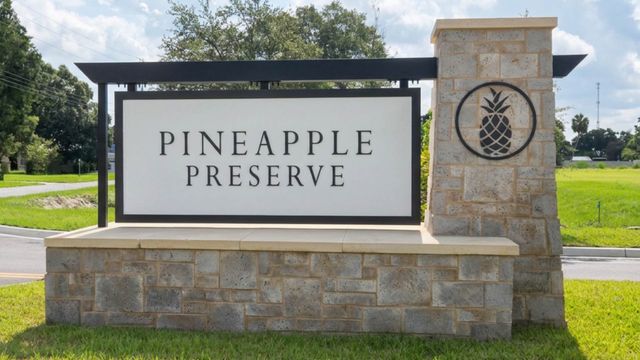 Pineapple Preserve image