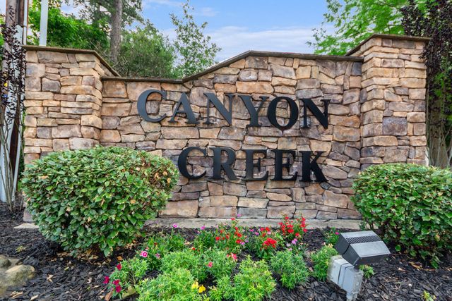 Canyon Creek image
