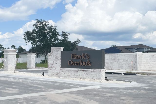 Hawks Overlook by M/I Homes in Oviedo - photo