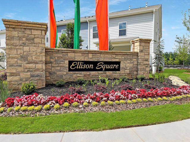 Ellison Square by Smith Douglas Homes in Sugar Hill - photo