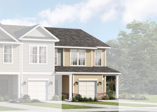 Morning Creek Forest image