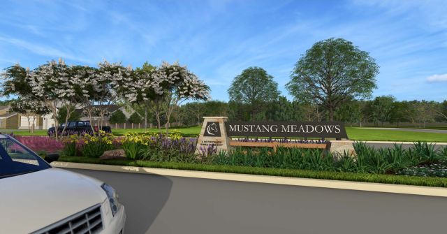 Mustang Meadows image