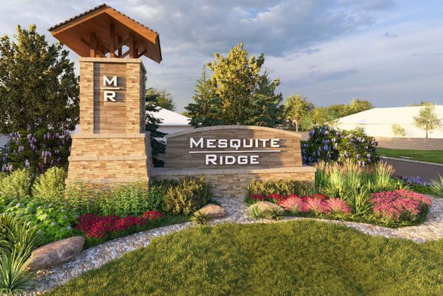 Mesquite Ridge image