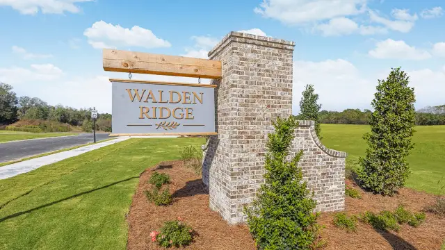 Walden Ridge image