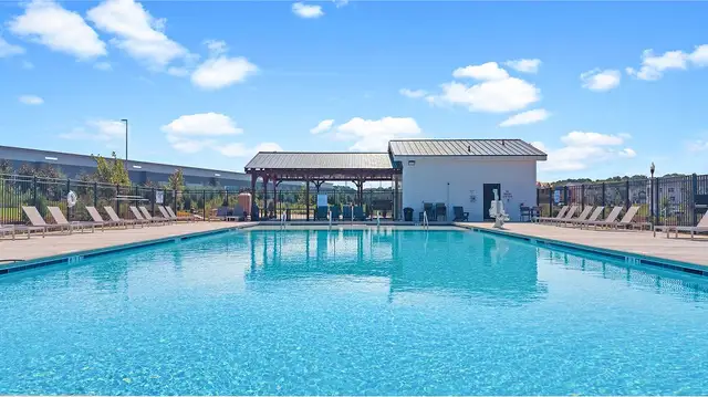 Chestnut Springs image