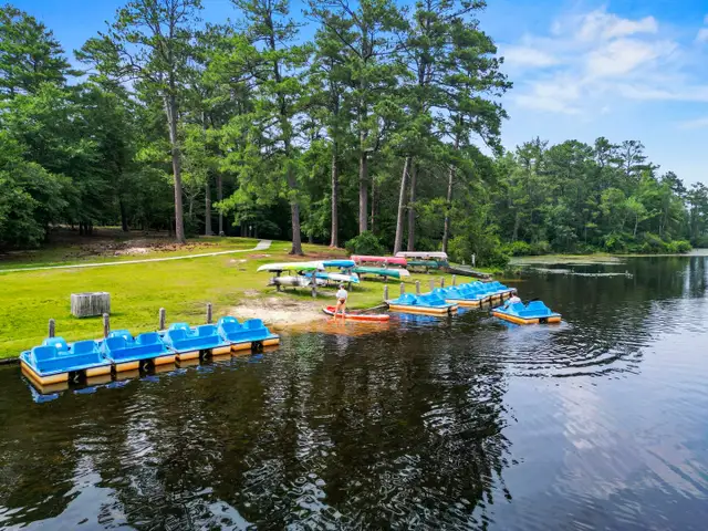 Piney Woods Bluff image